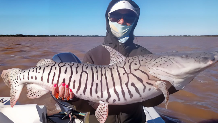 pousada, pesca, argentina
