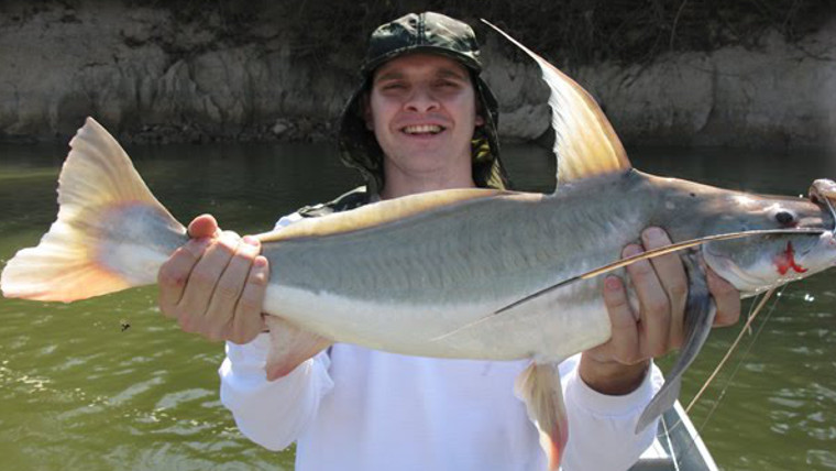 pousada, pesca, pantanal